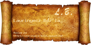Laurinyecz Béla névjegykártya